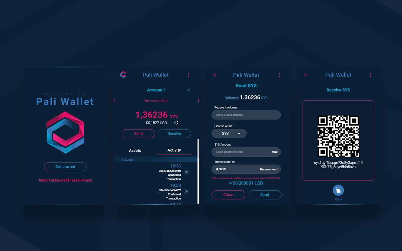 Interface  da Pali Wallet, uma de nossas wallets, na Chrome Web Store