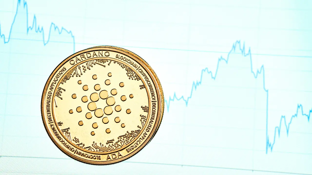 Brasileiro busca captar R$ 20 milhões para jogo NFT de sobrevivência que se  passa no RJ, Criptomoedas