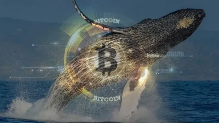 baleias-bitcoin-block
