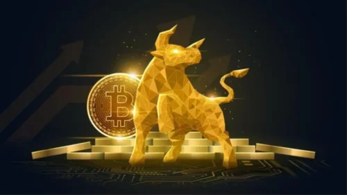bull-market-bitcoin-block-btc-cripto