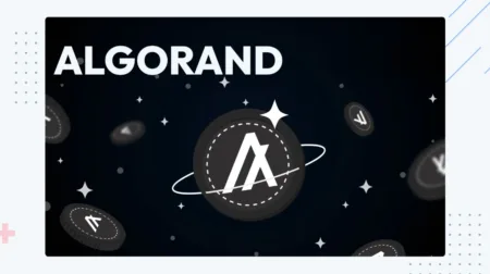 Entendendo Algorand (ALGO): Explorando seus Desafios e Oportunidades.