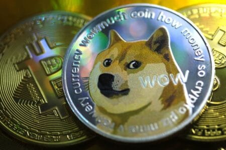O que é Dogecoin (DOGE)? Explorando seus Riscos e Oportunidades.
