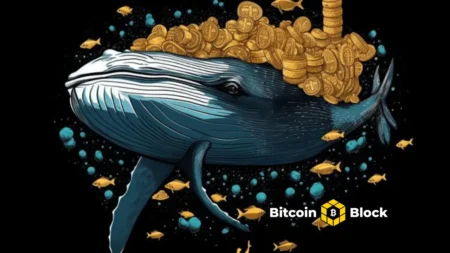 walle-baleia-cripto-chainlink-link-bitcoinblock