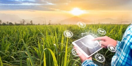 Tokenização do Agronegócio: aliada dos pequenos produtores, tecnologia atingirá 75 milhões de transações até 2025