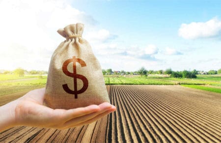 Desafios do acesso ao crédito para produtores rurais brasileiros