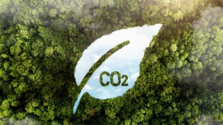  Mercado de carbono desenvolve plataforma de negociação para incentivar a conservação de florestas no Brasil