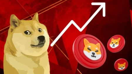 dogecoin-shibinu