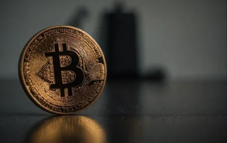 Bitcoin: Volatilidade ou Revolução Financeira?