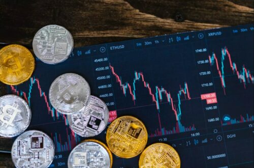 Desempenho do Mercado Cripto em Novembro de 2024: Recordes e Perspectivas