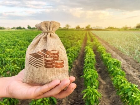 Crédito de Carbono no Agronegócio: Potencial, Desafios e Perspectivas de Crescimento Crédito de Carbono no Agronegócio: Potencial, Desafios e Perspectivas de Crescimento
