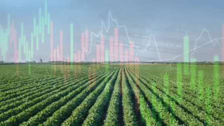 Como o uso de criptomoedas está transformando as commodities agrícolas e o agronegócio