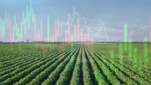 Como o uso de criptomoedas está transformando as commodities agrícolas e o agronegócio