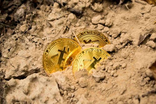 O que a Bitcoin tem a ver com o meio ambiente? Tudo!