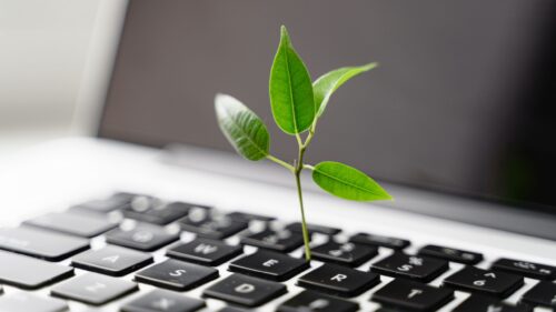 Sustentabilidade digital começa com dados: o que repensar na semana em que se comemora o Dia Mundial do Meio Ambiente