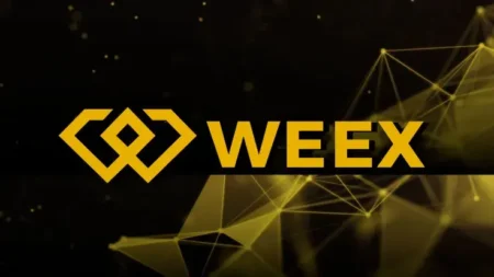WEEX EXCHANGE: A Análise Completa da Exchange que Está Dominando o mercado cripto