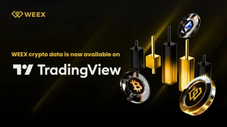 A Exchange WEEX e a Integração de Dados no TradingView
