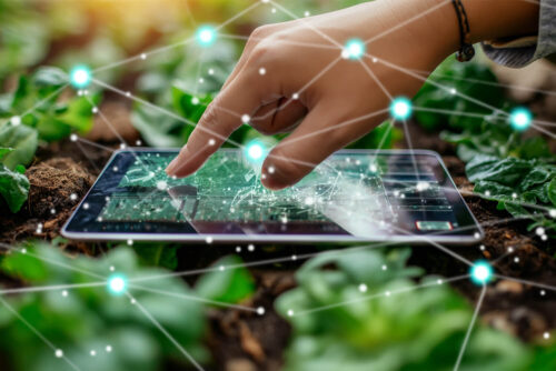 Quem nasceu primeiro, o ovo ou o...blockchain?