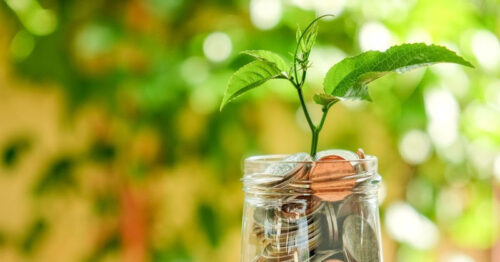 ReFi: a resposta à crise de integridade e a nova era da economia regenerativa