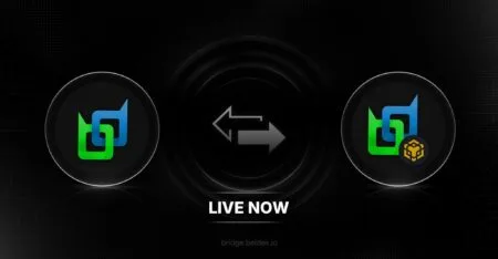 BeldexCoin Bridge: segurança primeiro é a única via para a privacidade