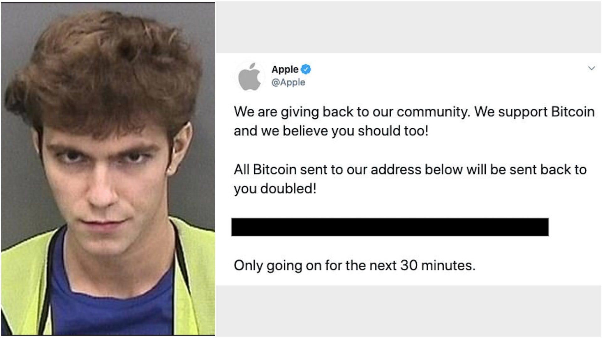 Crimes Cripto Juvenis: o que a justiça não revela sobre os ganhos reais — gráfico 5