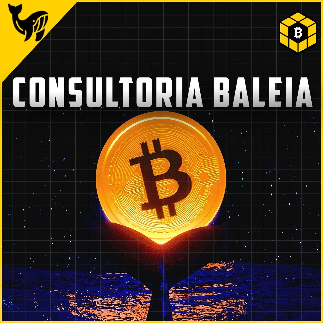 Consultoria Baleia